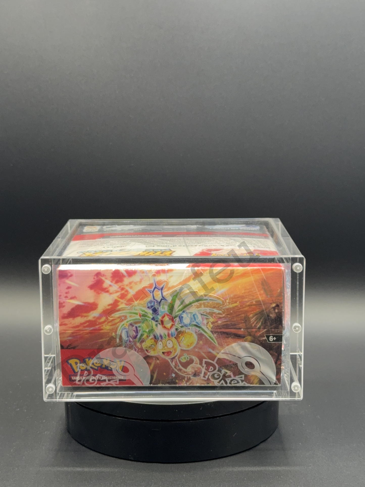 Protection Acrylique Draco Shield pour Display 36 boosters Pokémon