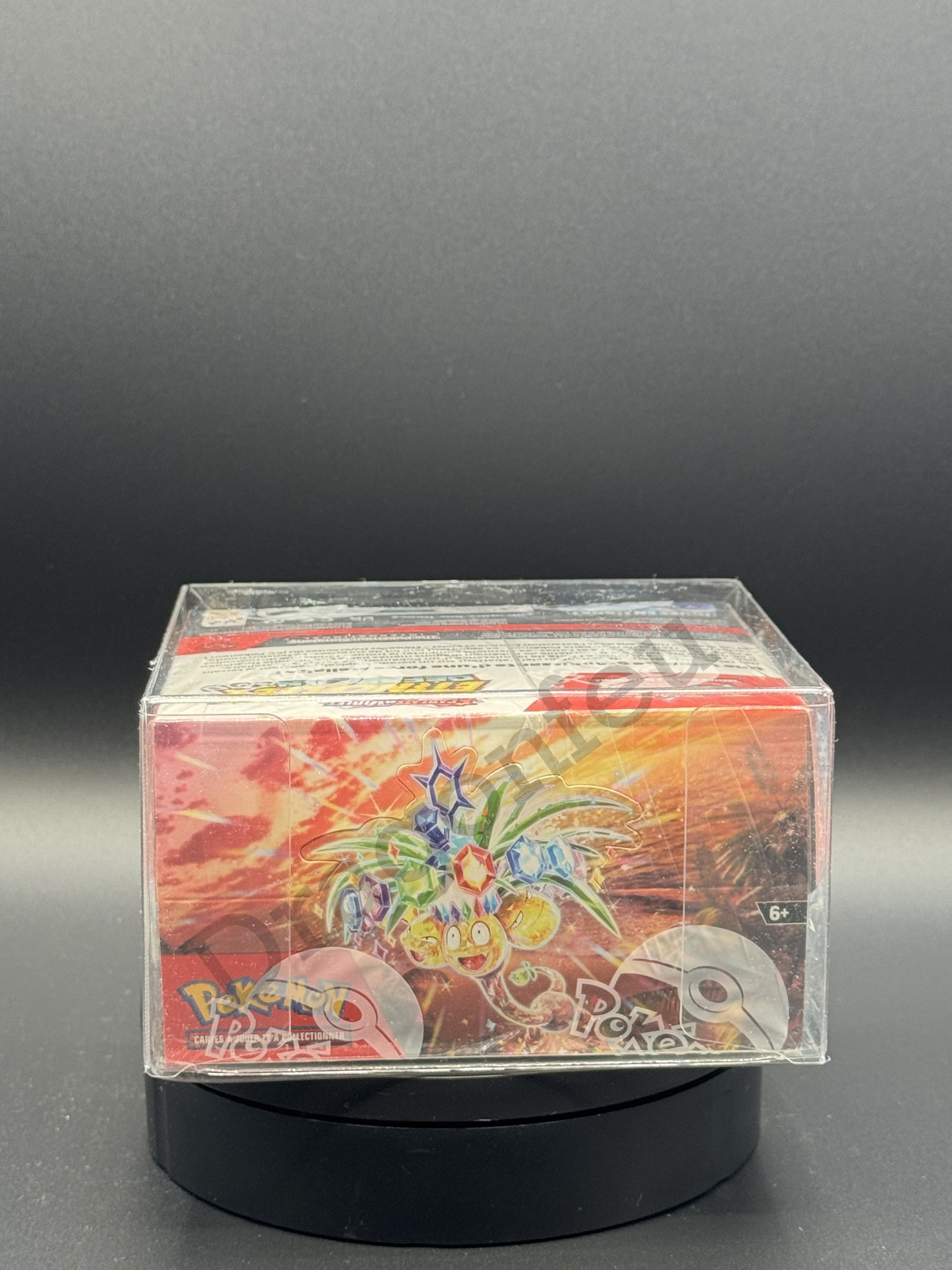 Pochette de Protection Transparent Phoenix Shield – Pour Displays de 36 Boosters Pokémon